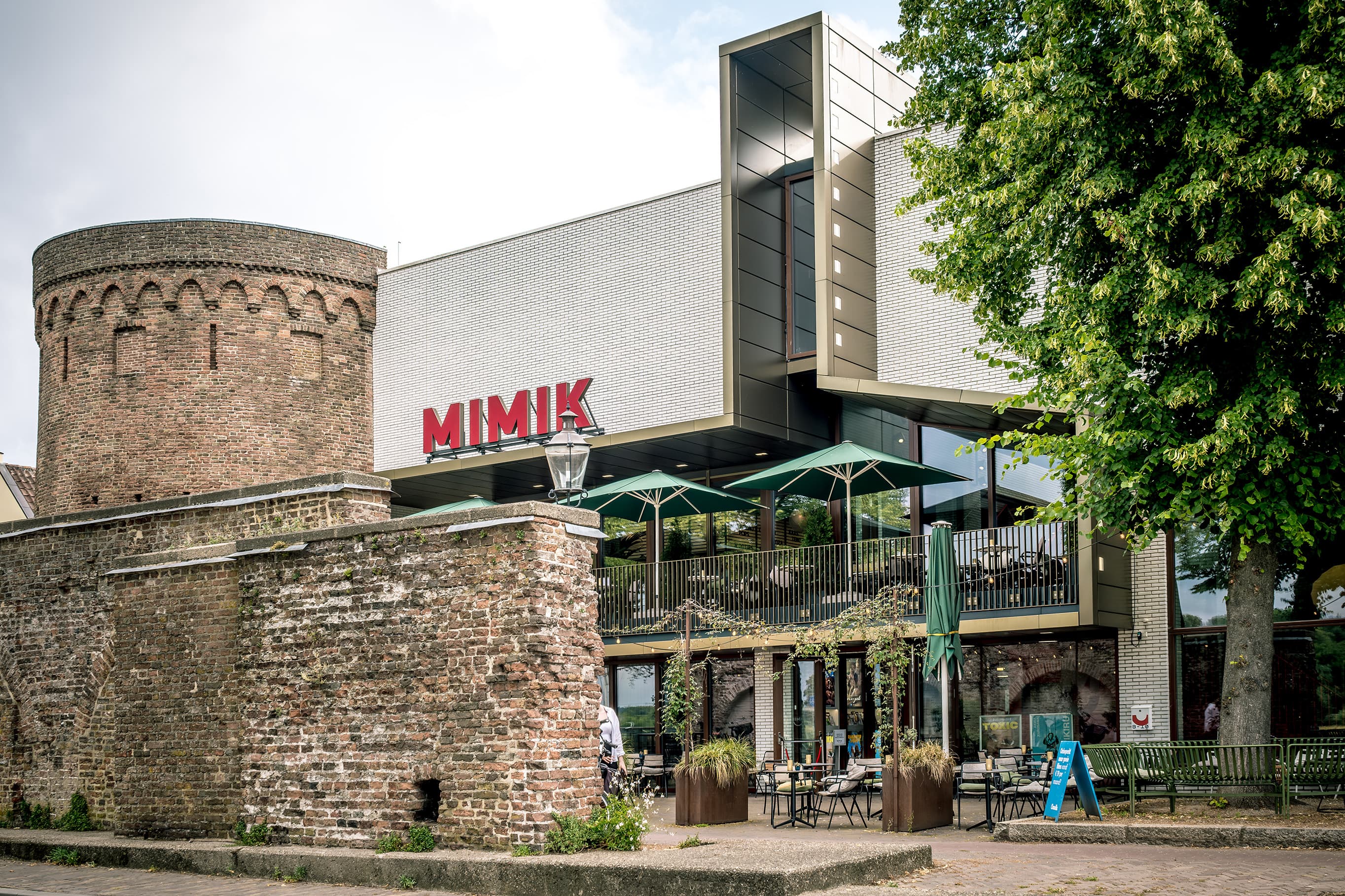 MIMIK