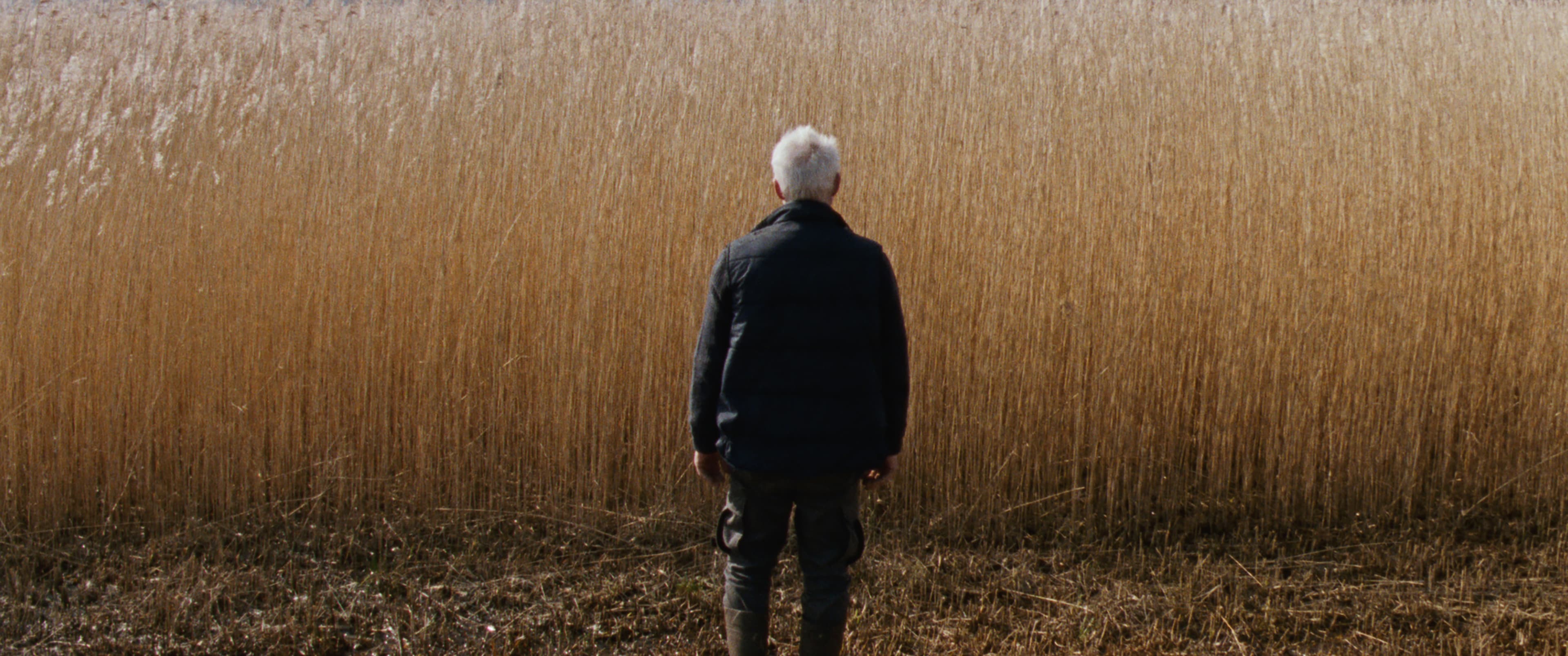 Nederlandse films