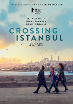 Crossing Istanbul poster
