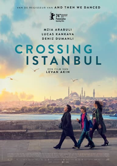 poster image