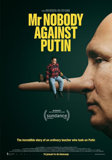 poster image