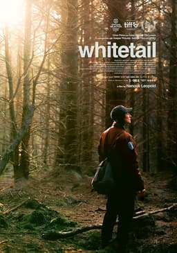 Whitetail poster