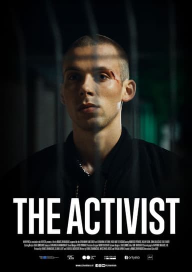 poster image