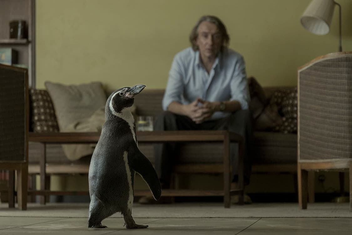 The Penguin Lessons